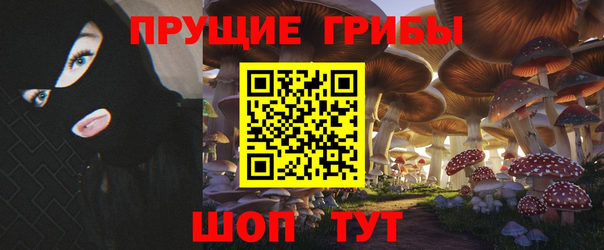 Галлюциногенные грибы Psilocybe  Вход с VPN  где можно купить наркотик  Саянск 